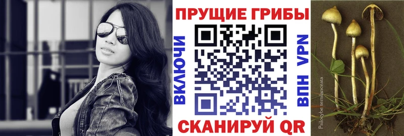Галлюциногенные грибы MAGIC MUSHROOMS  Малая Вишера 
